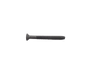 Trailer Parts Pro Floor Screws, T30 Drive For ACQ Treated Wood, 1/4" x 2.50" (TFX250ACQ)