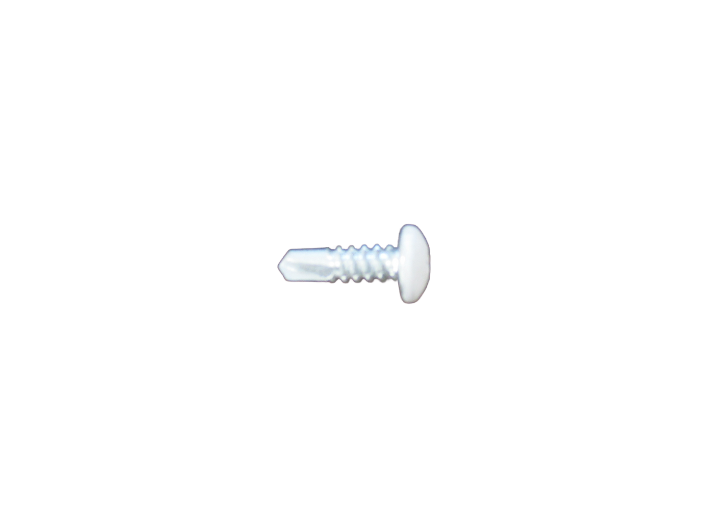WHITE SHEET SCREW(70021041)
